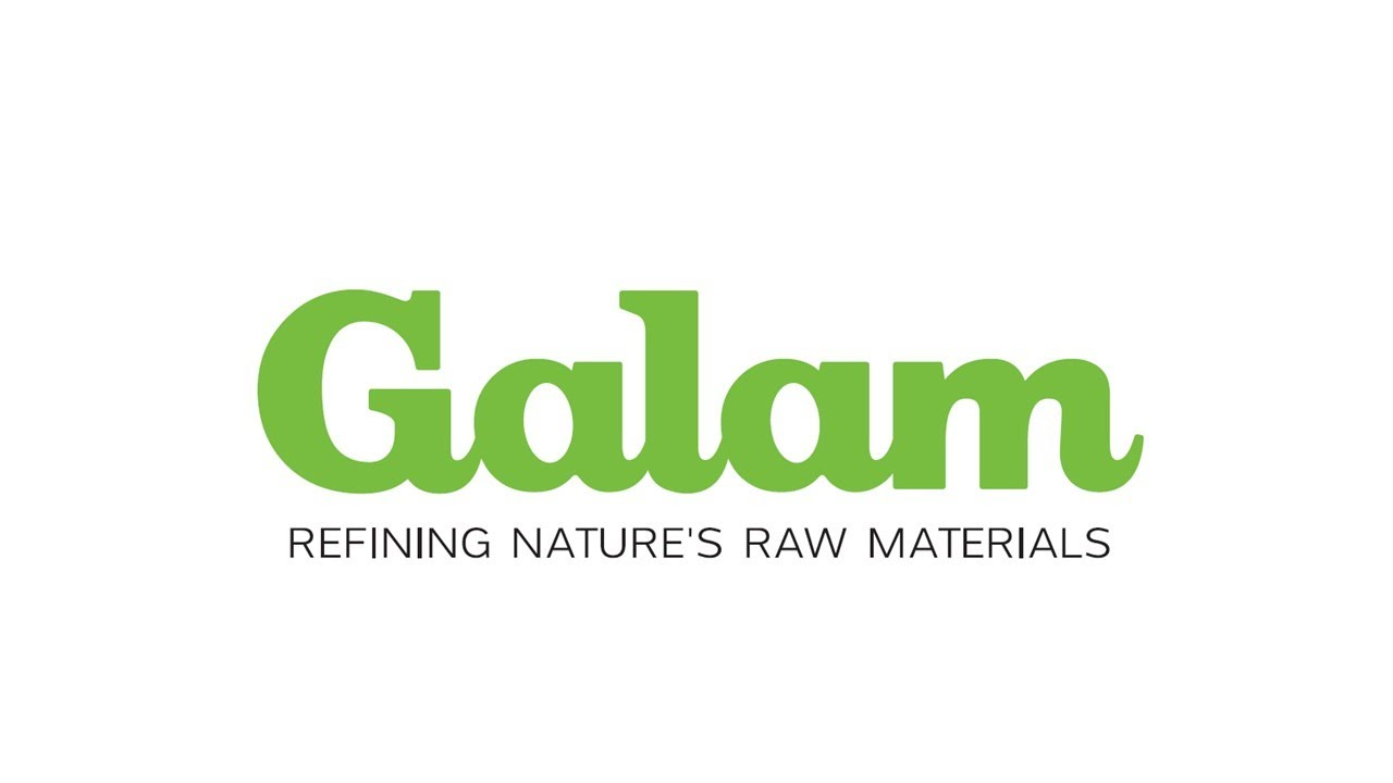 מפגש מקצועי עם קבוצת Galam לשילוב סטודנטים ובוגרי המכללה בסביבה תעשייתית מתקדמת